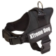 Peitoral Xtreme Dog S preto