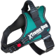 Peitoral Xtreme Dog S verde esmeralda