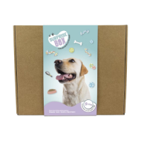 Surprise Box cão grande