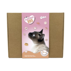 Surprise Box gato